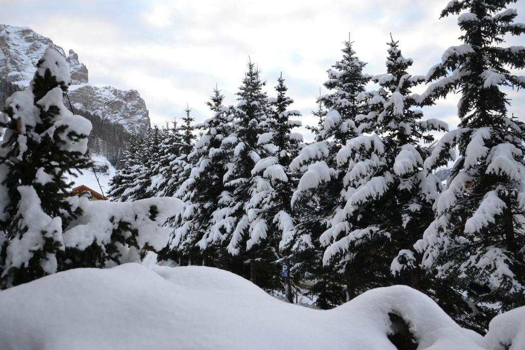 La Stua Hotel San Cassiano  Exterior photo